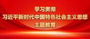 被老板大鸡吧干视频学习贯彻习近平新时代中国特色社会主义思想主题教育_fororder_ad-371X160(2)